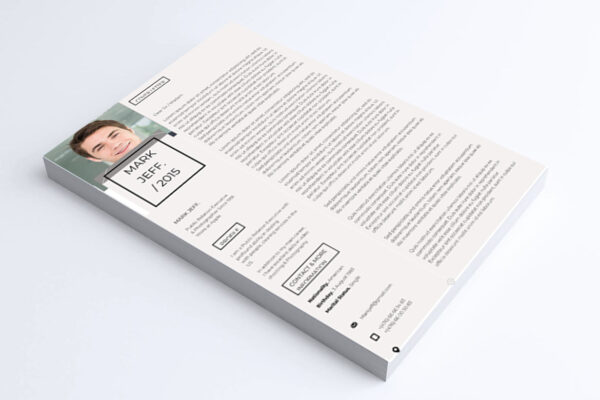 Teacher Resume  and cover letter Template - Image 4