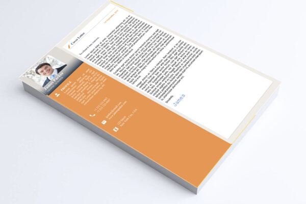 Data Analyst Resume & Cover Letter Template - Image 4