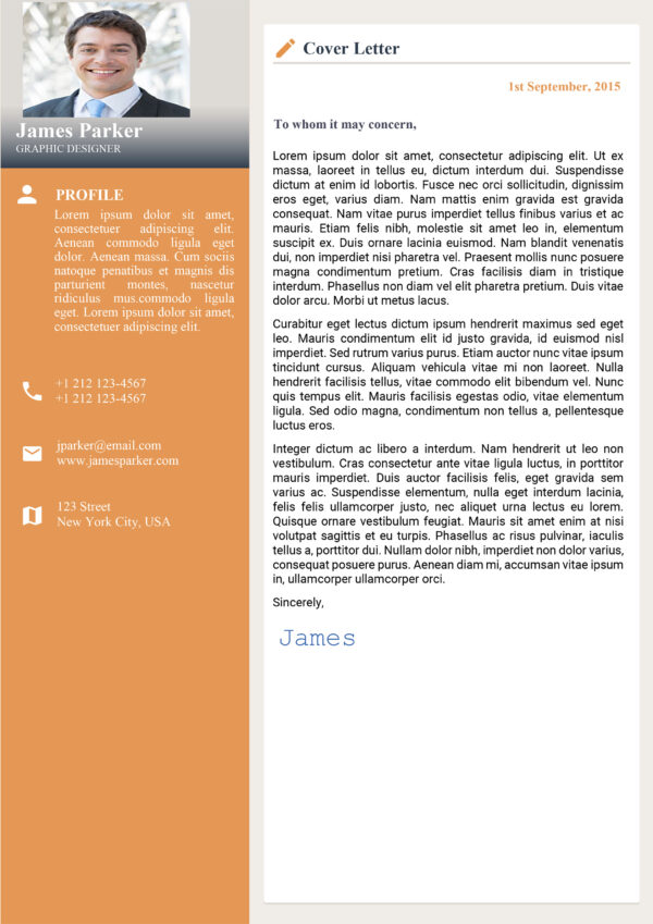 Data Analyst Resume & Cover Letter Template - Image 2