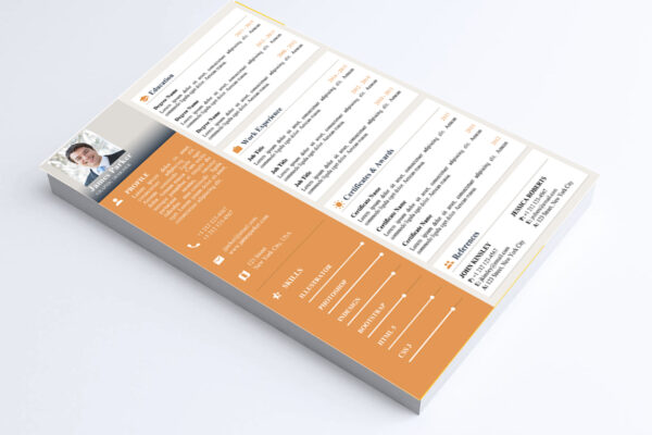 Data Analyst Resume & Cover Letter Template - Image 3